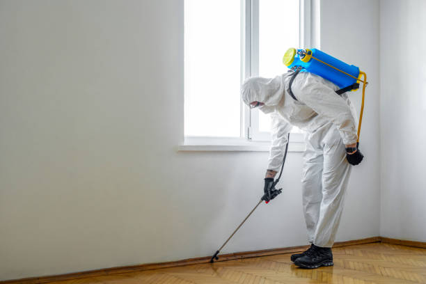 Best Residential Pest Control  in Tuckerton, NJ